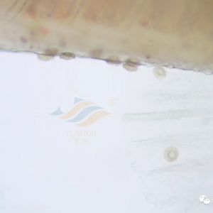 �����|�����ͼ����x���߰l(f��)����Α�����