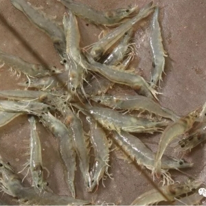 �ɴ�ʧ����һ�����T��h������޳����¸���(j��ng)