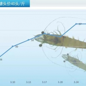 �ٝq4Ԫ�����������������r�r�١�����һ�ц᣿