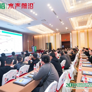 ���o��2019���A�|�����|ȫ������Bֳ��ӭ���l�L��