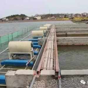 ������ѭ�h��ˮ�Bֳģʽ��270��ˮ�B10�f���~���������_90%