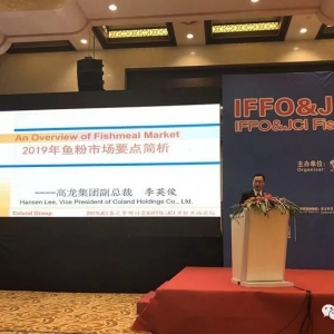 ������������Ӣ���A�y2019��r��߀���������g