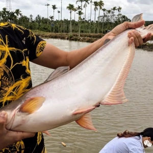 ��ǧ�f��ӆ�Σ�2019���ɳ�~�^�m�𱬣�