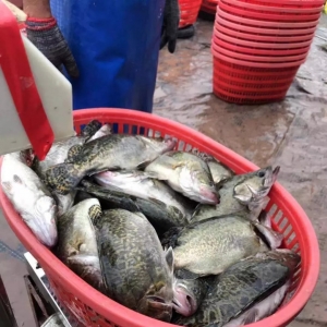 3���D���~�r��ȫ������ˮ��������40%��