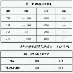 �~���܈󣺵�14���~���^�m�ϝq