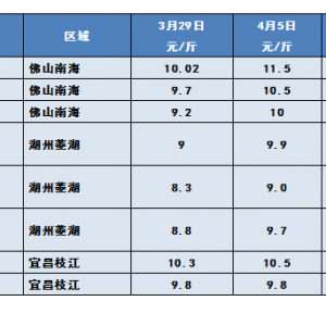 2019��4��6���S��~���^�r������