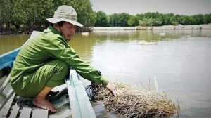 ����+����������Ч���@���ط��ĵ��݃r���ѽ��w�q