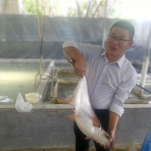 ���İ�ɳ�~��a��5���Bֳ�S���ڣ�