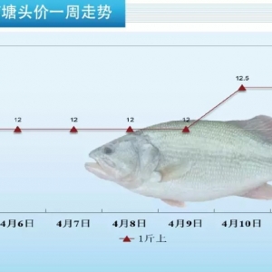 �����|�~�r����r�R�h�t����ʡ�ϝq���1Ԫ/��