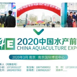 �Ї�ˮ�a(ch��n)ǰ��չ��ʢ�r�����8�f�˴��P(gu��n)ע����200�҃�(y��u)����I(y��)�R��