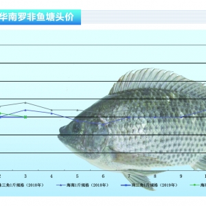 �_���~������(y��ng)���㣬�~�r��(w��n)�󡪡���ˮ�a(ch��n)ǰ�ء�2019��4�¿��Ј�څ��