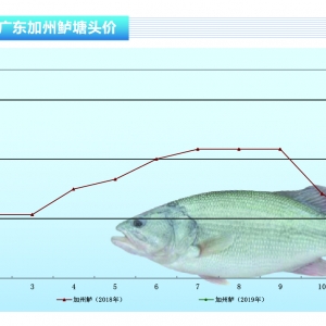 �����|���V�|ϲӭ5�B�q����������ů������ˮ�aǰ�ء�2019��4�¿��Ј�څ��