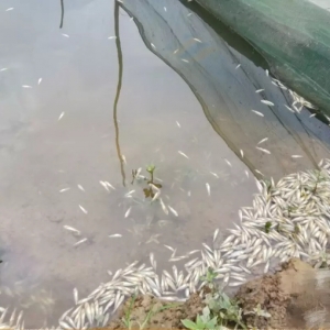 һ���O�t(y��)�������_�J(r��n)�R(sh��)�����|���저β�����ƌW(xu��)����