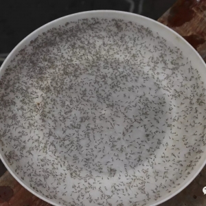 ��������h(yu��n)δ�Y(ji��)�����B(y��ng)���Ŀ��(y��n)���ڳ��m(x��)