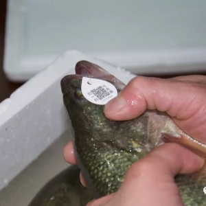 һ�~һ�a���o���~���ό��١������C����