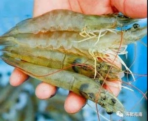 �r�r | ��϶ࠖ����ϝq��ӡ���c���ܳ�ƽ