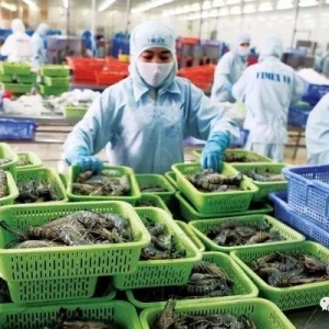 �����Q(m��o)�ׅf(xi��)�����M(j��n)Խ���r���ښW����Խ�σH���Ї���������r����(y��ng)��