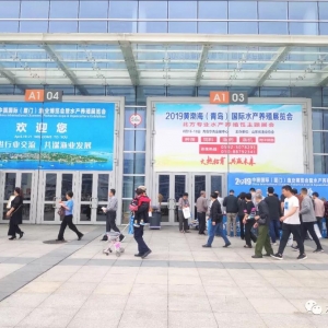 �����B(y��ng)ϯ��ȫ����ˮ�a(ch��n)�B(y��ng)ֳ�I(y��)��ȥ�Ώģ��@����S�Ɍ����