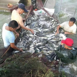 �ݝO�������a�~ȫ���ϝq���u߀�ǲ��u��