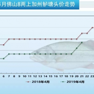 ��һ�S���܌����������|���п��q��