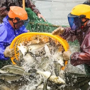 �׽����|�a�I�C�Ϯaֵ���^�ك|,����ӭ���@Щ���߷���