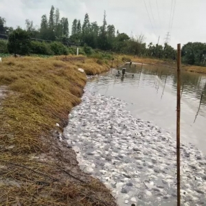 ���ꌢ�������_�M������450�fԪţ�܏ص׈�U