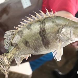 ����ʡ���~�������Л_�����V�|���~�r���»�