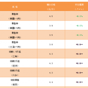 ���~�N�r���»� --2019��4��26�Ճr�񲥈�