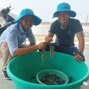 �������F+����ʽ�Bֳ��һ��4���r