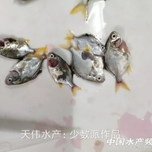 ���B(y��ng)�߃r���K�~�����^�~�硰���T�P(gu��n)��