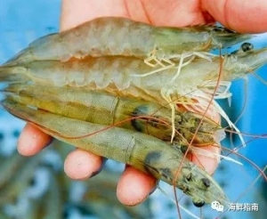 ��϶ࠖ��ӡ�ȡ��R���������r��ُ�r���䣬Խ�ϡ�̩����������