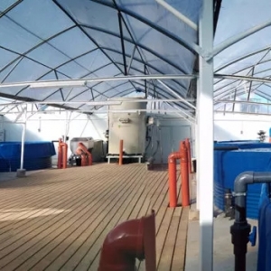 �a�����5����SPBˮ̎�����g׌��ˮ���p��85%