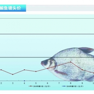 ���~���Ј��s�����r�����С�����ˮ�aǰ�ء�2019��5�¿��Ј�څ��