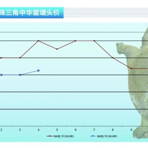 ���~�������������~�r�������ϝq������ˮ�aǰ�ء�2019��5�¿��Ј�څ��