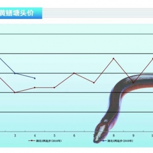 �S�X���r�񲨄Ӳ��󣬿��wƽ��������ˮ�aǰ�ء�2019��5�¿��Ј�څ��