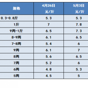 �q���^��5��3���a�~���^�r