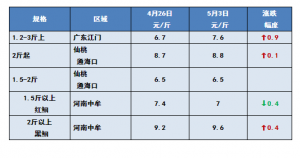 �r�񷀶���5��3���t�~���^�r