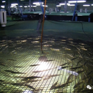 ���r�����~(y��)���l(f��)�r(ji��)��(chu��ng)2018���ԁ�(l��i)���ӛ䛣�