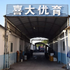 �������B(y��ng)ֳ��(d��ng)���ӹ��c��ͨ������ˮ�a(ch��n)�硰���ϡ�