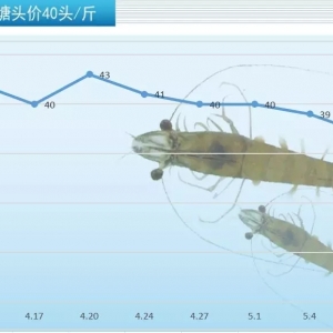 5��11��ȫ�������׌��r���a�����^��r