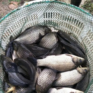 ȱ���a�~����q�����K���^�rֱ��10Ԫ���P��