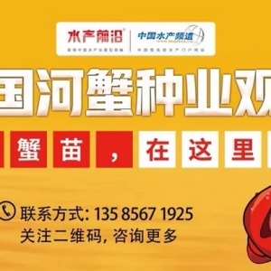 ���u������ĸ�������L(f��ng)���ϣ�з��p�a(ch��n)����ζ��ʲô��