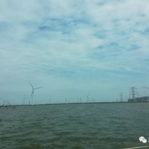 �ؿ��������a�~�B(y��ng)ֳ���@Щ����׃����һ��Ҫ֪����