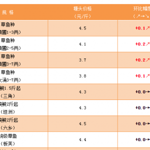 ���~�N�r�����@��ů����2019��5��17�ղ��~�r������