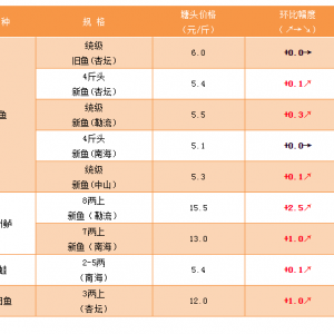 ���~�������|�r������ϝq����2019��5��17�Ճr������