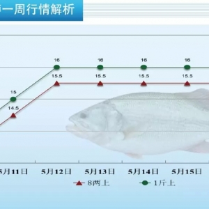 ȫ������~�rȫ���h�t���������|һ���������