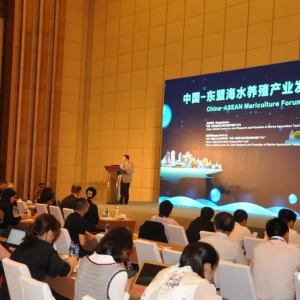 ���d��������Ѽӿ첼�����|���Ј�����������