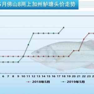 ���~�oȱ���V�|�����|���q0.5Ԫ/�