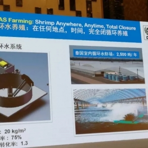 �����r�Bֳ��ģʽ������r�cǰ��څ��