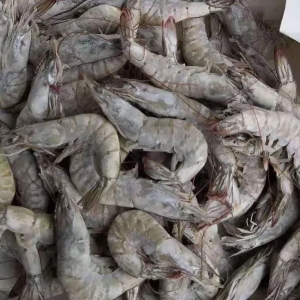 ���P�M������2����4�¶�϶ࠖ���r�a�����vʷ�¸�